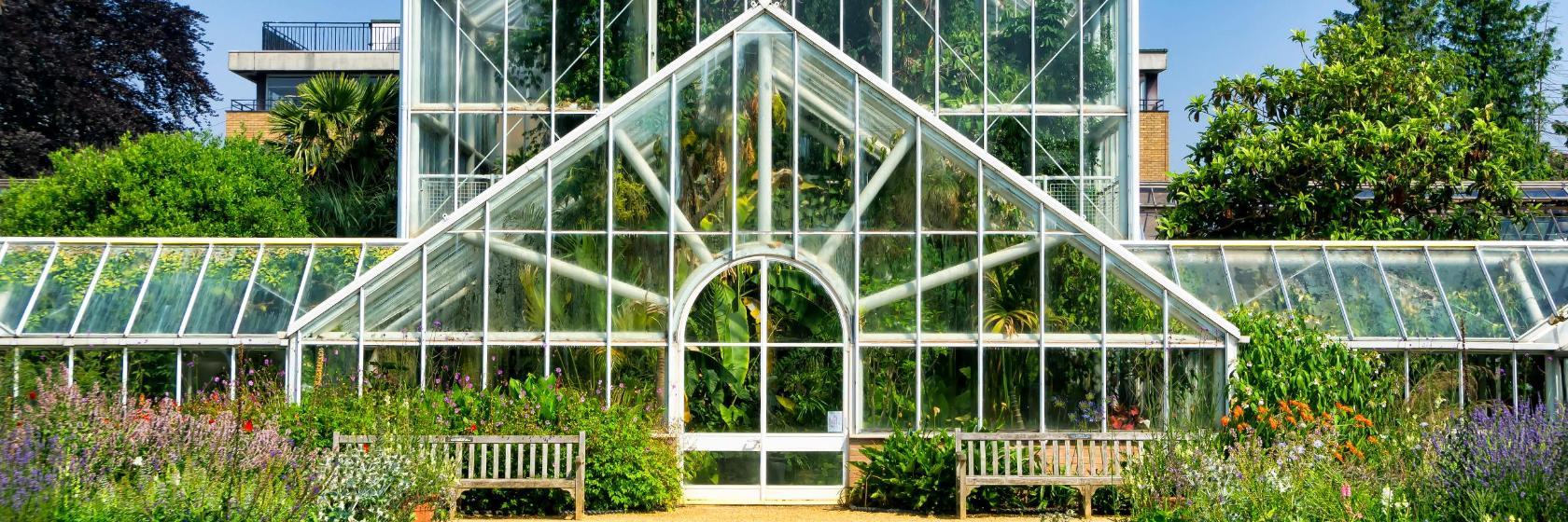 Cambridge University Botanic Garden